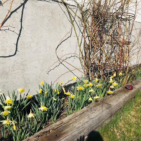 Kastellegarden Skanskullen Kungälv Dış mekan fotoğraf