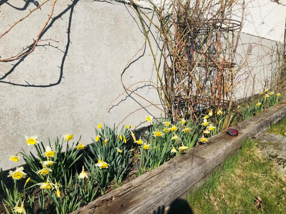 Kastellegarden Skanskullen Kungälv Dış mekan fotoğraf